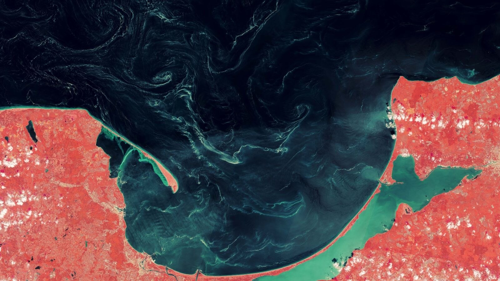 'Green mystery': Giant slicks spotted in the Baltic Sea aren’t algae
