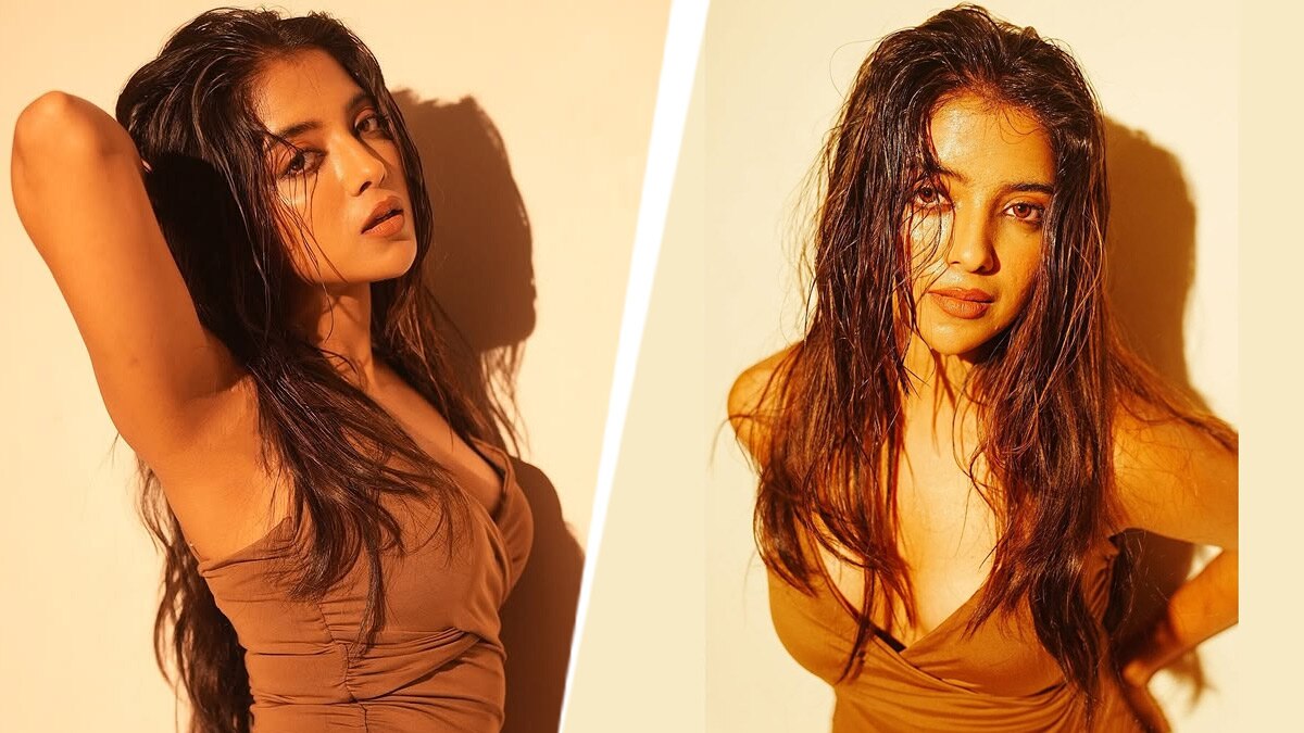 BB19 में दिखेगी TV की हसीना, नागिन बनकर मिला फेम, सलमान के शो में मचाएंगी तबाही?