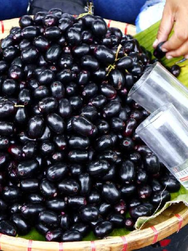 উপকারী জাম এদের জন্য বিষ, কারা খাবেন না? জেনে রাখুন