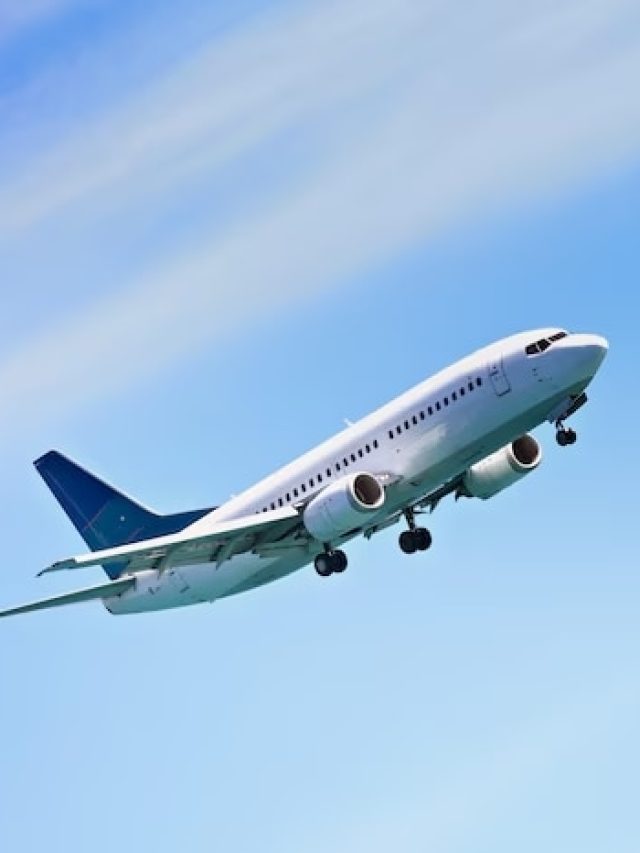 বিমানের ব্ল্যাক বক্সের রং কিন্তু কালো নয়, জানেন কী?