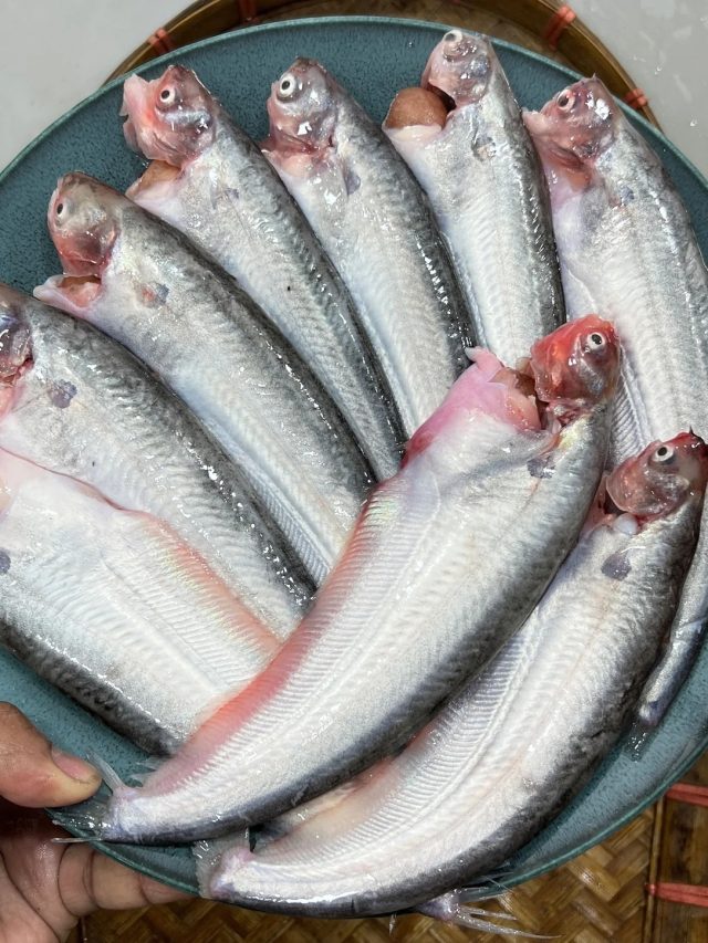 পাবদা খেলে শরীরে এসব হয়, আবার মুখে তোলার আগে জেনে নিন