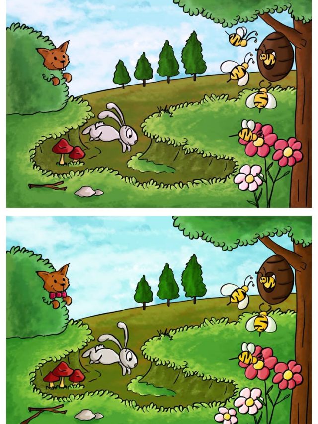 पेंटर ने तस्वीर ने कर दी हैं 5 गलतियां, 10 सेकंड में ढूंढने वाला कहलाएगा जीनियस