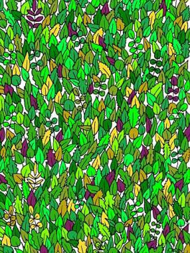 पत्तों के बीच छिपा है 'Frog', 10 सेकंड में ढूंढने वाला कहलाएगा जीनियस