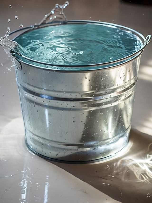 AC রুমে কেন বালতি ভর্তি জল রাখছে লোকে? জানলে আপনিও এটাই করবেন