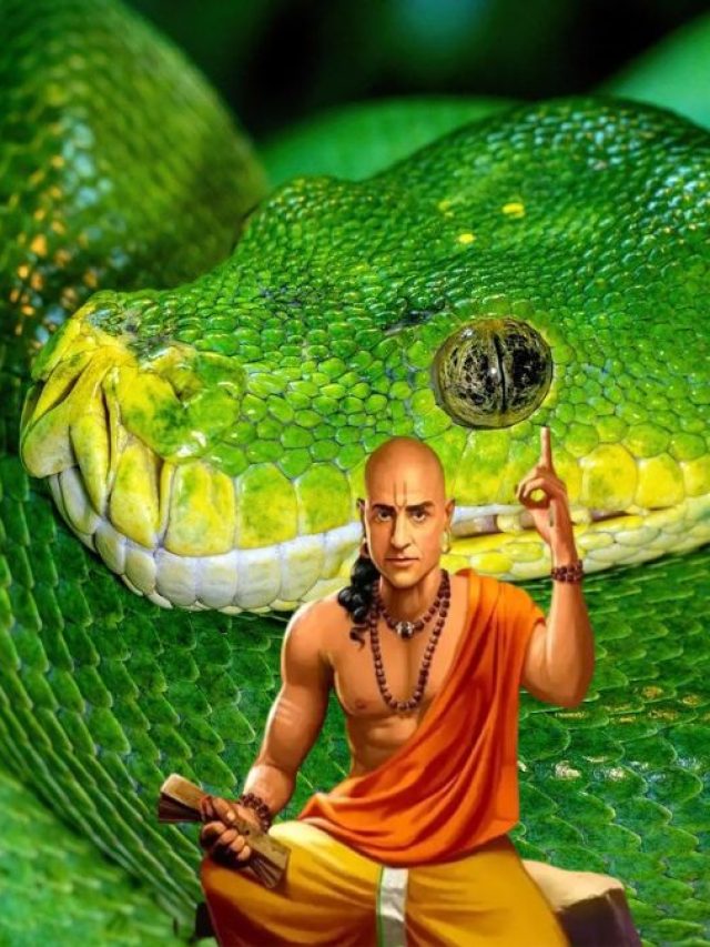 এই ধরনের মানুষ সাপের থেকেও বিষাক্ত,দূরে থাকতে বলছেন চাণক্য