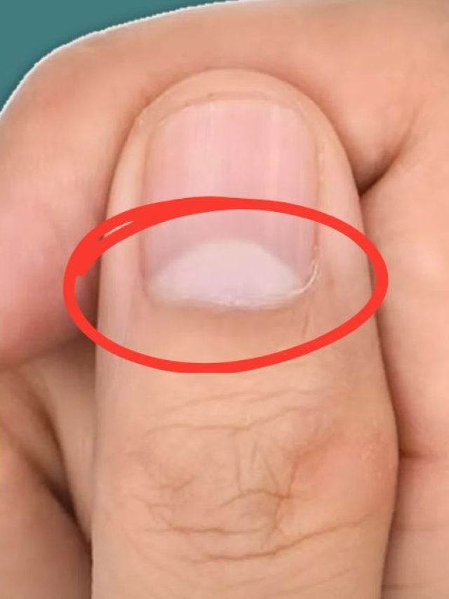 নখে এই অর্ধচন্দ্র থাকা কীসের ইঙ্গিত? জানুন শাস্ত্র কী বলছে