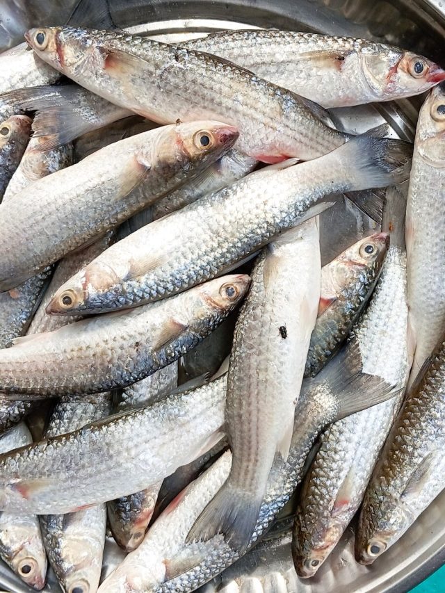 পার্শে মাছ খেলে লিভারে কী হয় জানেন? শুনলে চমকে উঠবেন