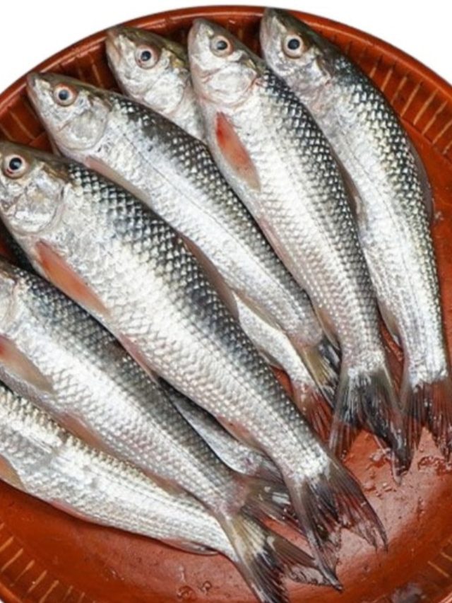 সস্তার বাটা মাছ শরীরে কী ঘটায়? খাওয়ার আগে জেনে নিন