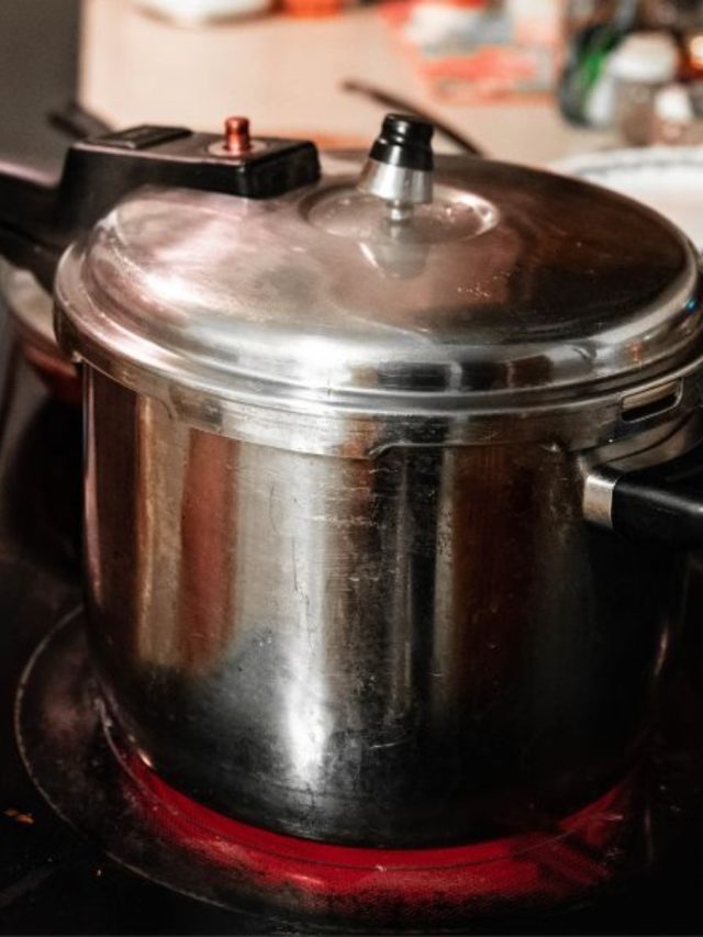 প্রেসার কুকারে ৪ খাবার বিষ হয়ে যায়, ডিম-আলু সেদ্ধ করা উচিত?