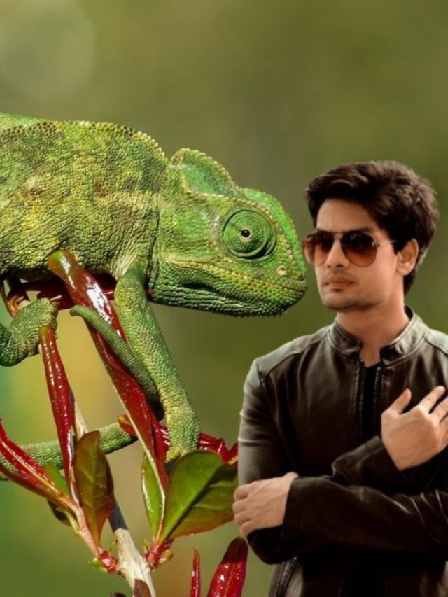 গিরগিটির মতো রং বদলান এমন লোকেরা, দূরে থাকাই মঙ্গল