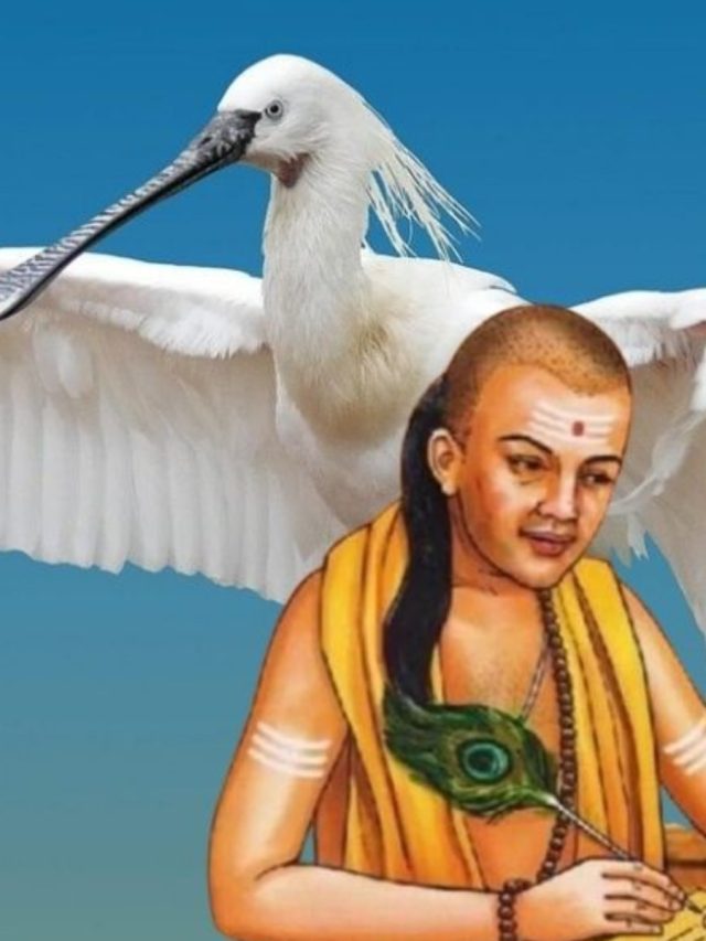 বকের থেকে শিখুন এই গুণ, সাফল্যের পাঠ চাণক্যর