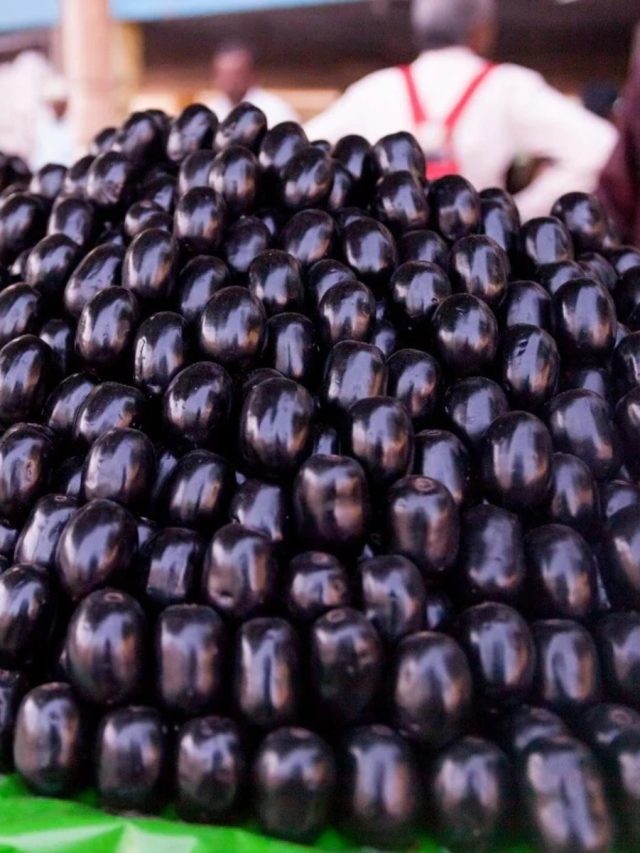 উপকারী হলেও জাম এদের জন্য বিষ, কারা খাবেন না জেনে নিন