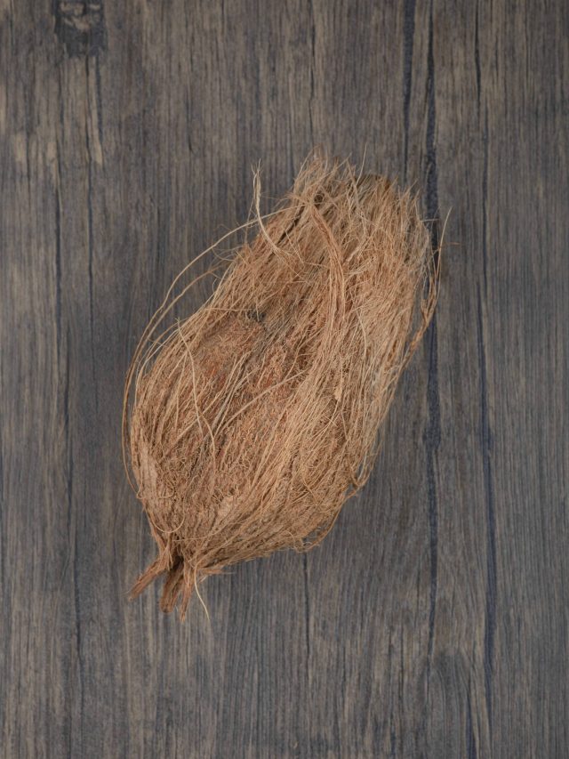 নারকেলের ছোবড়া দিয়েই ফাঁকা টাকে গজাবে চুলের বাগান, রইল টিপস