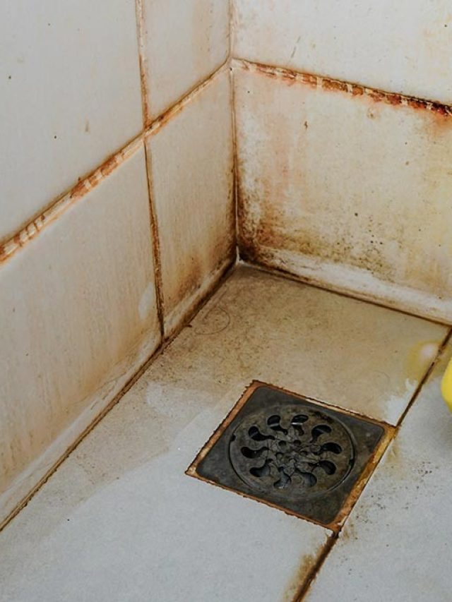 বাথরুমের কালো টাইলসে মুখ দেখা যাবে, রইল কালো দাগ তোলার টেকনিক