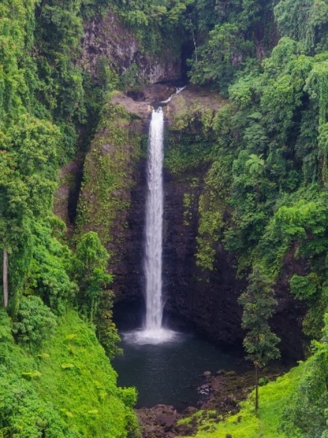 क्यों शिलांग है कपल्स के लिए ट्रेंडी हनीमून डेस्टिनेशन? ये हैं वहां के रोमांटिक स्पॉट्स