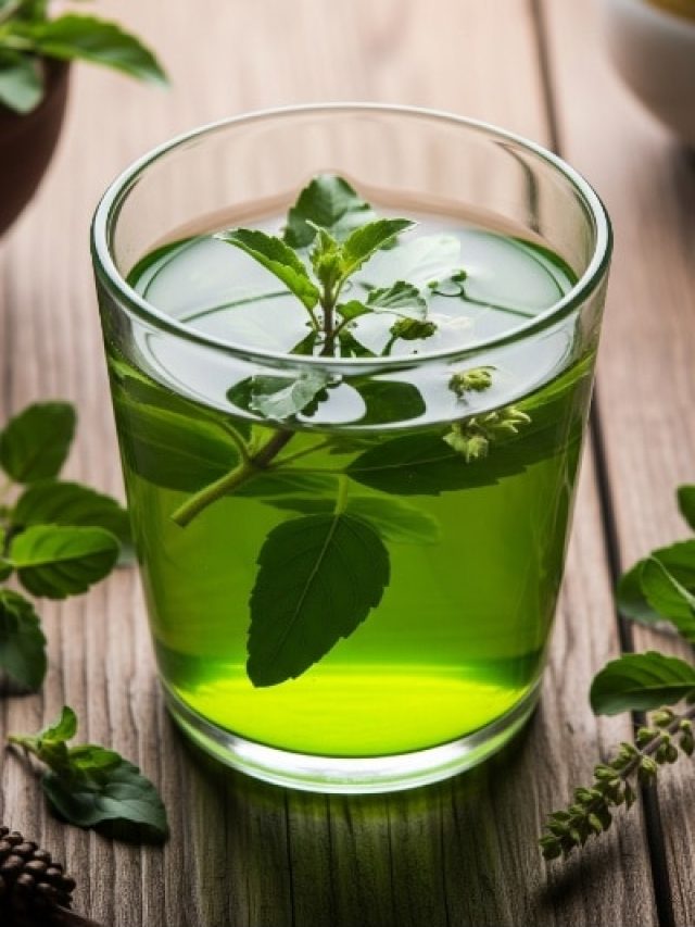 तुलसी का पानी है सेहतमंद रहने का सस्ता तरीका, जानिए रोजाना पीने के 5 चमत्कारी फायदे