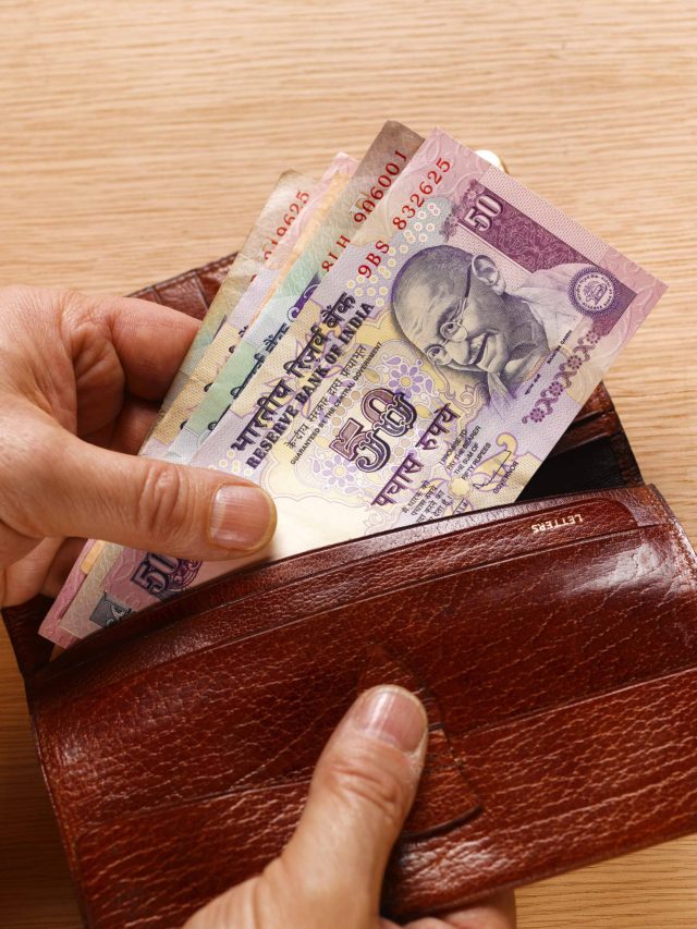 पर्स में रखें ये चीजें, चुम्बक की तरह खिंचा चला आएगा पैसा