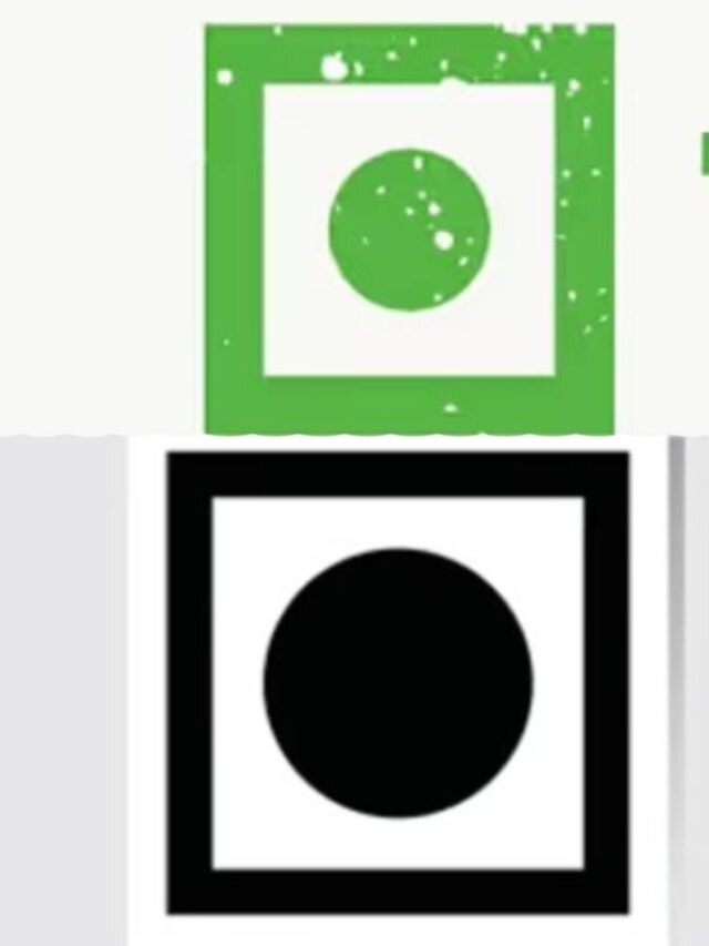 শুধু সবুজ-লাল নয়, খাবারের প্যাকেটে ৫ ধরণের কোড থাকে, কালো কোডের মানে কী?