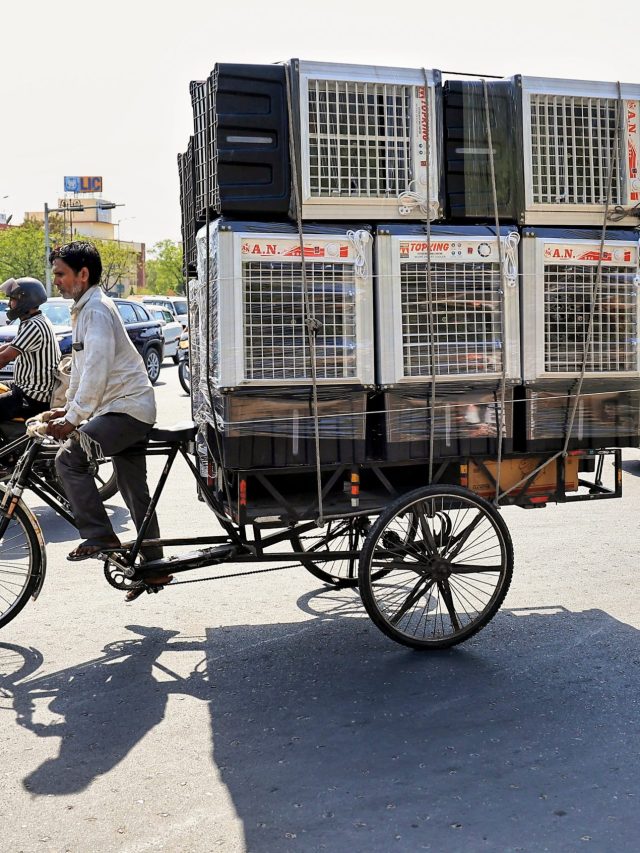 क्यों कभी-कभी कूलर में पानी जल्दी खत्म हो जाता है? ये है उसका कारण