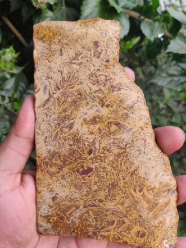 क्यों जैसलमेर जाकर ये पत्थर का टुकड़ा खरीदते हैं लोग? घर लाने पर क्या होता है?