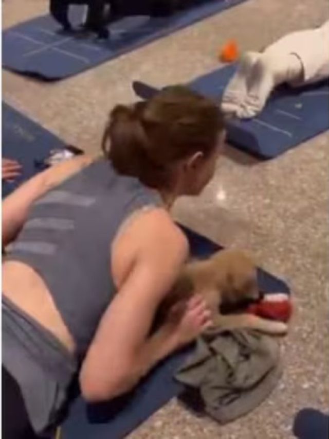 विदेशी कर रहे थे योगा, तभी पपी ने ली इंट्री, और फिर... छा गया ‘पपी योगा’