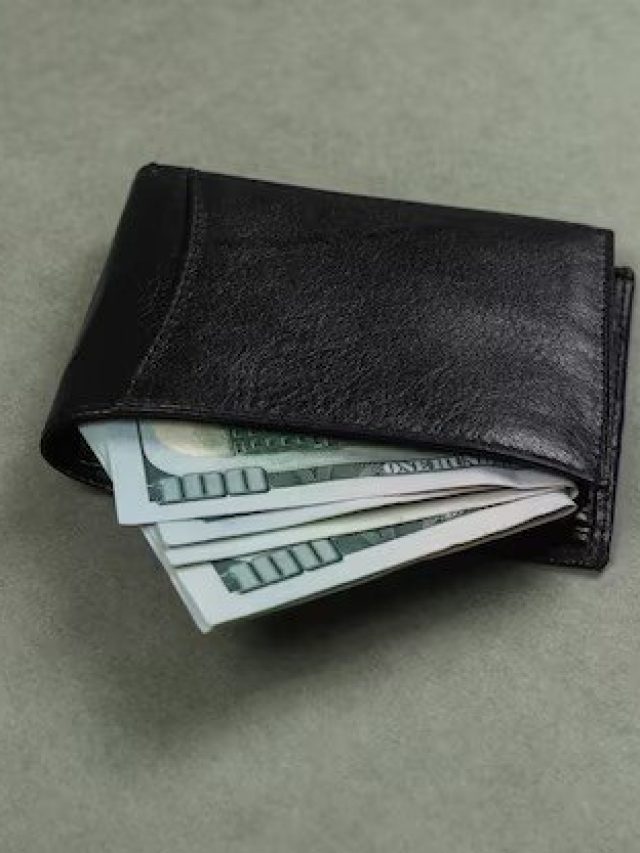 মানিব্যাগে এই ৭ জিনিস রাখলে সঞ্চয় সব সময় শূন্যই থাকে