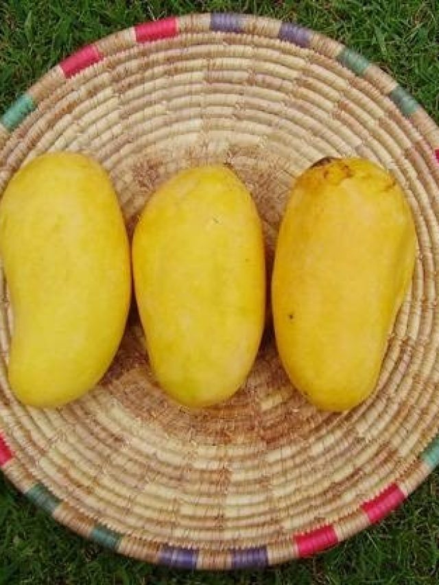 সন্ধের পর পাকা আম খেলে কী  হয়, কল্পনাও করতে পারবেন না