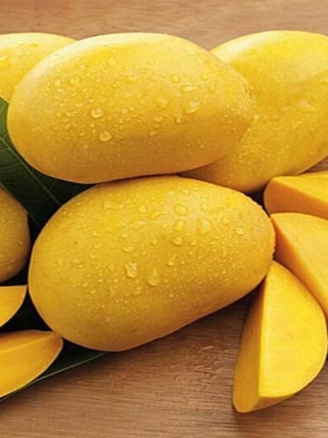 পাকা আম কতদিন ফ্রিজে রেখে খাওয়া যায়, জেনে রাখুন