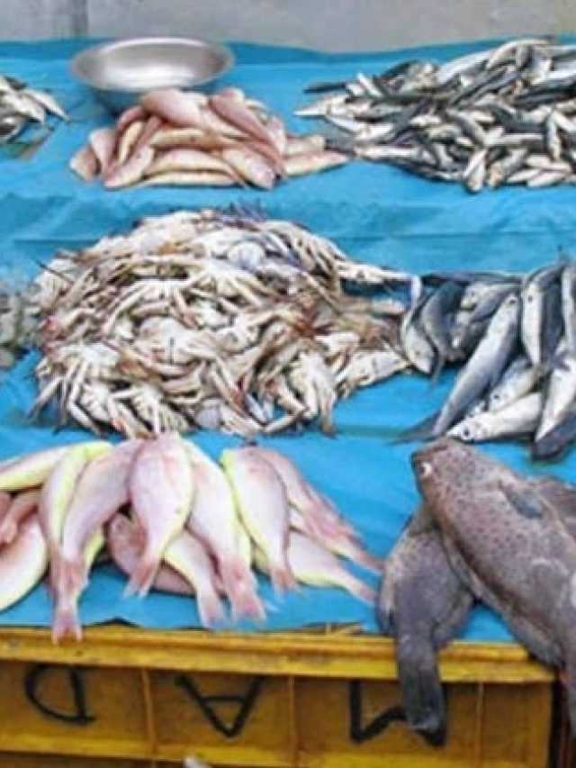 মাছ পচা নয়ত? এভাবে বুঝুন, রইল আড়তদারের টিপস