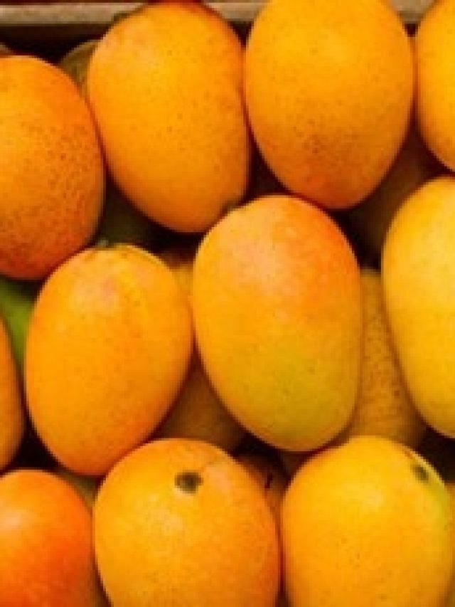 রাতে খাওয়ার পর পাকা আম খেলে কী হয়, কল্পনাও করতে পারবেন না