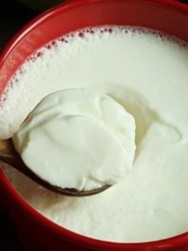 ঘরে পাতানো দই জমাট বাঁধতে কখন ফ্রিজে রাখবেন, জেনে রাখুন