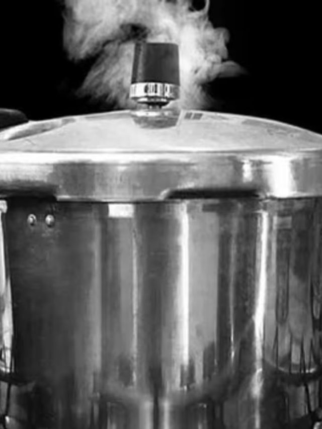 প্রেসার কুকারে ভাত রান্না করে খেলে যা হয়, কল্পনাও করতে পারবেন না