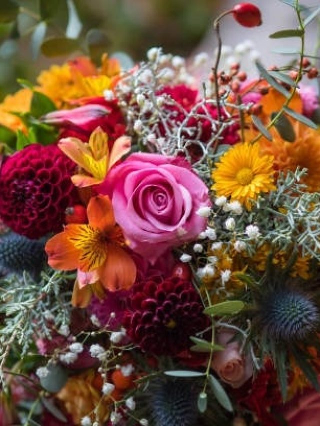 রোজ পাতে রাখুন এই ফুলের তরকারি, ডাক্তারের কাছে যেতে হবে না