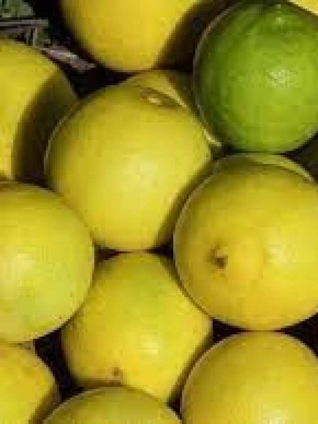 গরমে লেবু দিয়ে বানান ১০ রেসিপি, জিভ আর পেট দুজনেই বলবে থ্যাংক ইউ