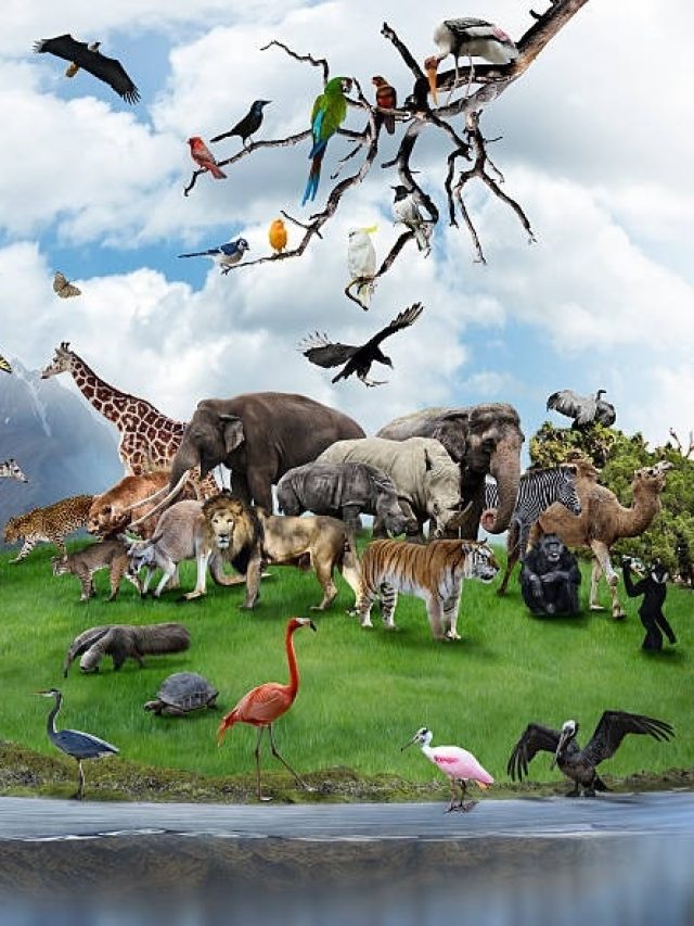 এই উদ্ভট প্রাণীগুলি ভারত ছাড়া বিশ্বের আর কোথাও মেলে না, জানেন?