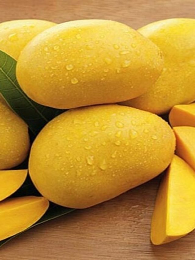 পাকা আম গপাগপ খেলেও সুগার বাড়বে না, কায়দাটা জানুন