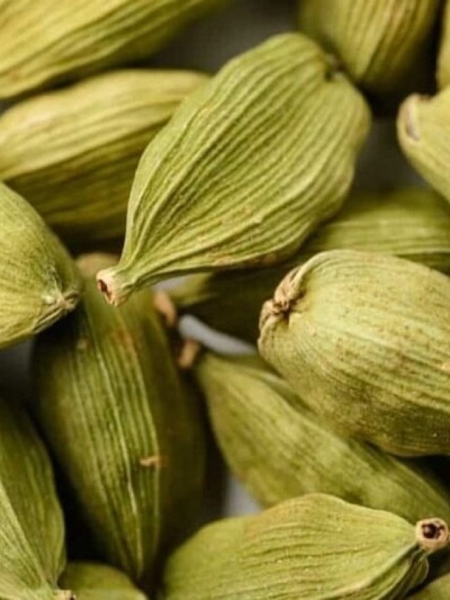 মুখে ফেলে দিন ৩টি এলাচ, ব্যস,  শুরু হবে