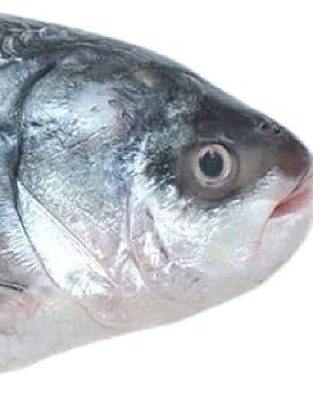 মাছের চোখ চিবিয়ে খেলে এসব হয়,  জানা উচিত