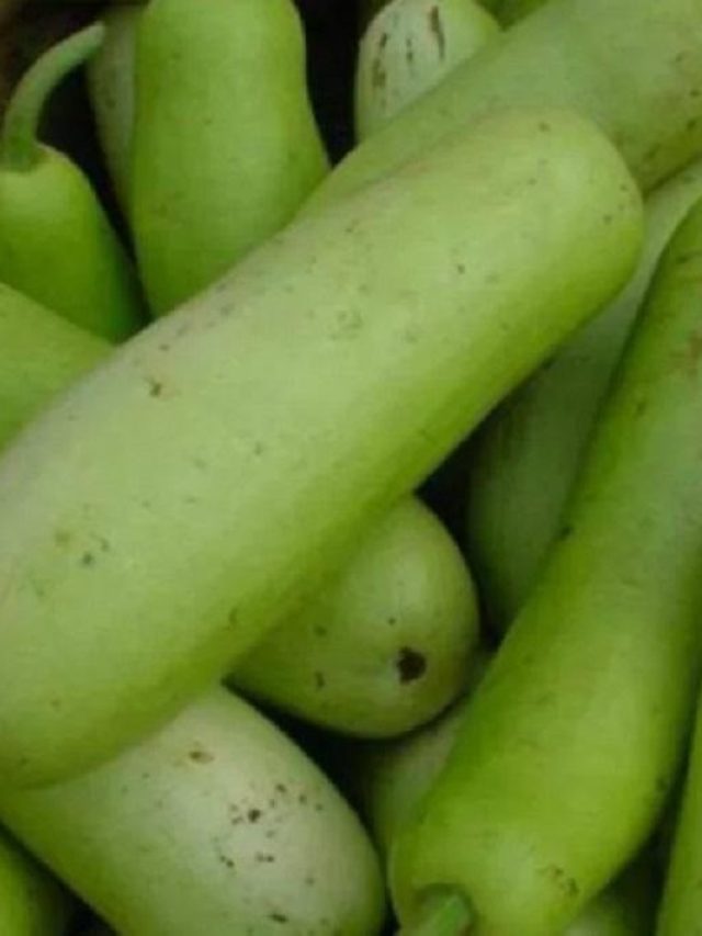 লাউ তো খান, ইংরেজিতে একে কী বলে জানেন?