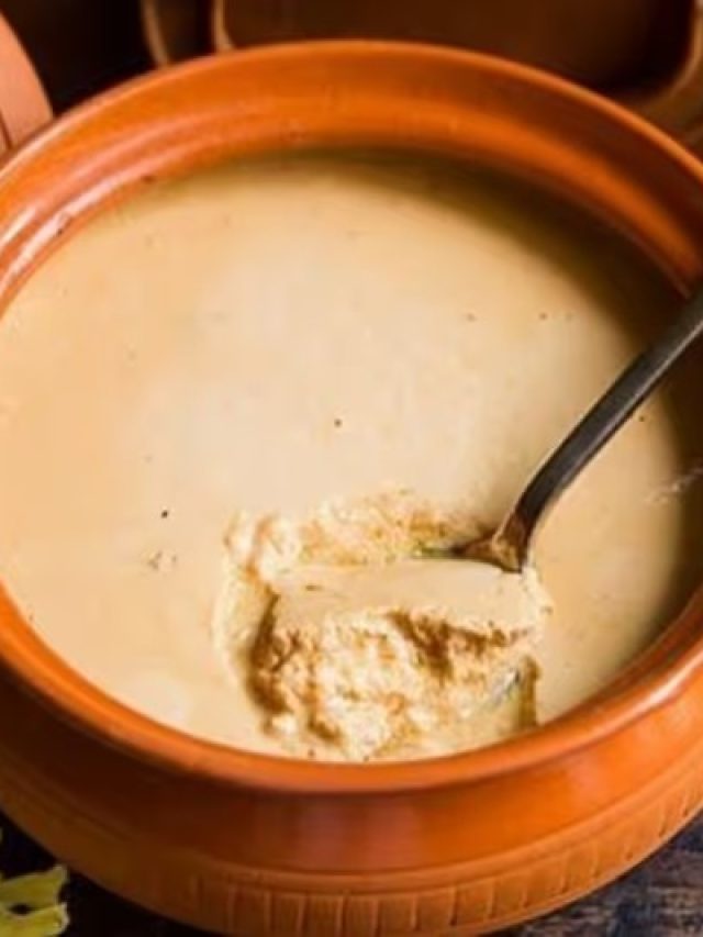 ঘরে পাতানো মিষ্টি দই পুরো দোকানের মতো হবে, রেসিপি