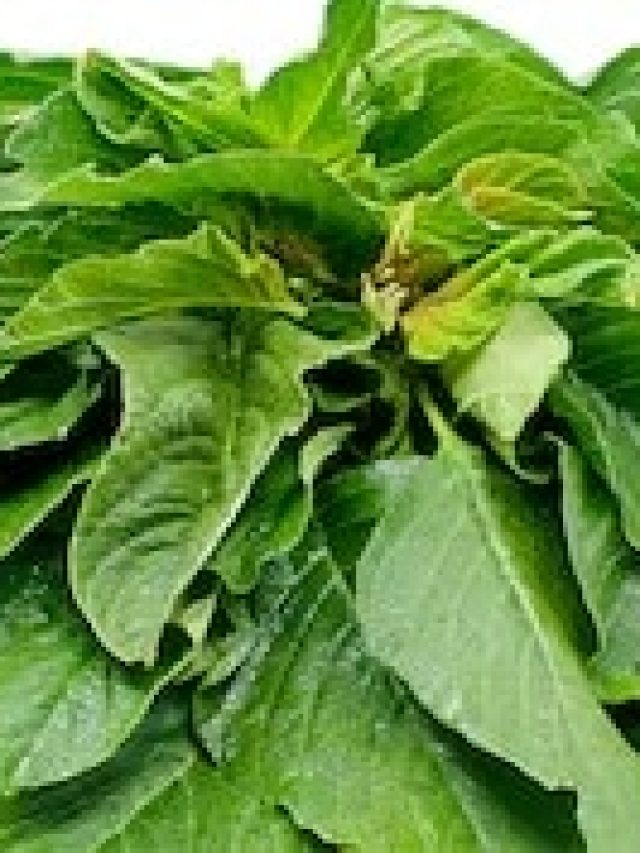 সস্তার এই শাক খেলেই হার্ট আজীবন ভাল থাকবে