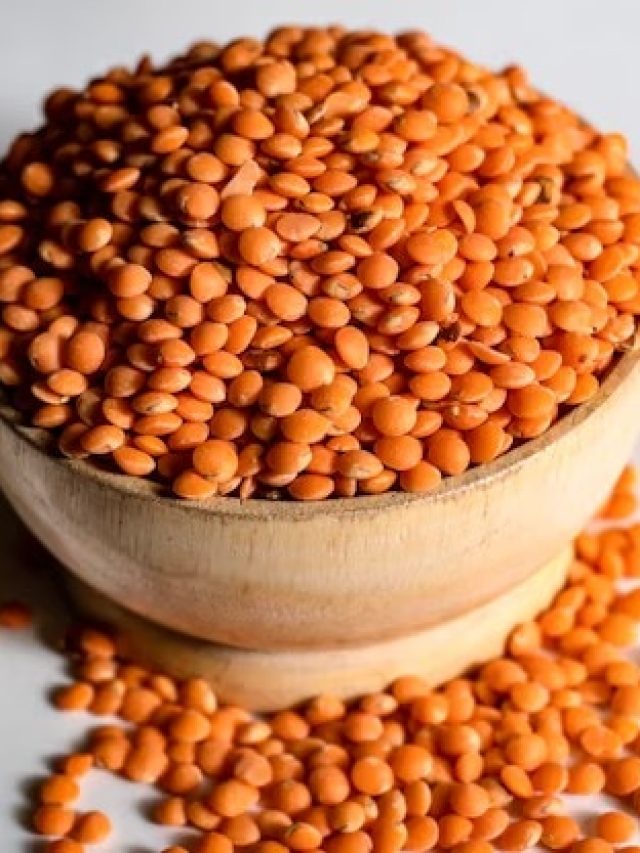 মুসুর ডাল এভাবে খেলে স্বাদে পাগল হবেন, সবচেয়ে বেশি খাদ্যগুণ মেলে এই রেসিপিতে