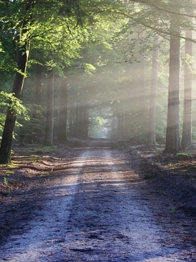 मॉनसून में साउथ इंडिया घूमने का बना रहे हैं प्लान? इन जगहों पर जाना ना भूलें