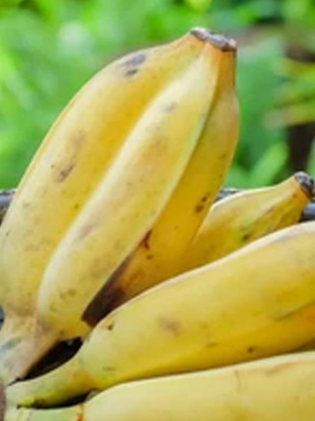 ৭ দিন রাখলেও কালো হবে না কলা, সতেজ রাখার ট্রিকস জানুন