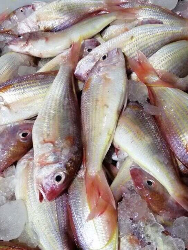 পারদ জমে মৃত্যু পর্যন্ত হতে পারে, বাংলার এই ২ মাছ খান না তো?