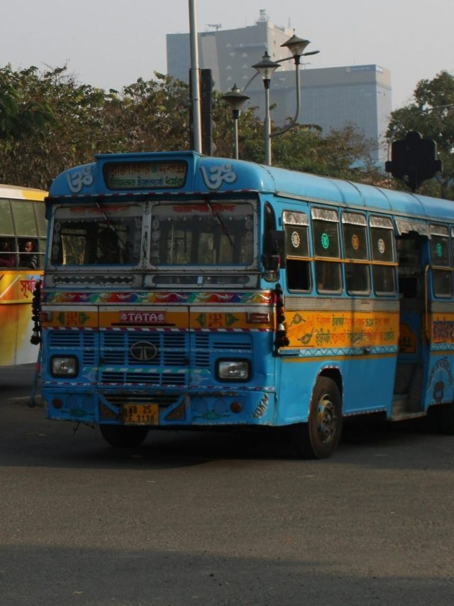 অ্যাক্সিডেন্ট হলেও বেঁচে যাবেন, বাসের এই সিটে বসা সবচেয়ে নিরাপদ