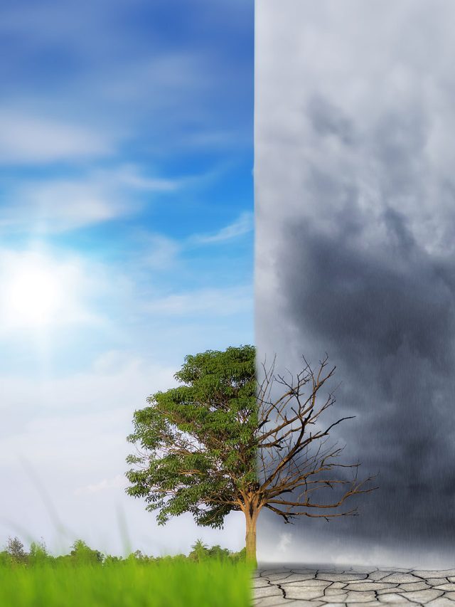 By 2100, Mumbai may not be be Mumbai anymore: The great climate redraw has started