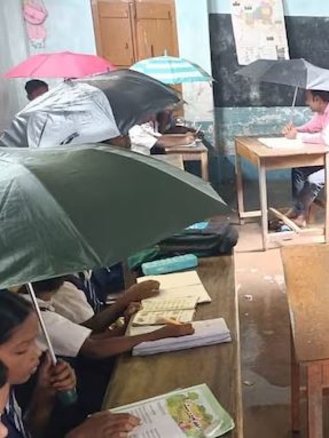 टपकती छत के नीचे छतरी लगाकर पढ़ाई कर रहे बच्चे... कहां का है ये स्कूल, जो वायरल है!