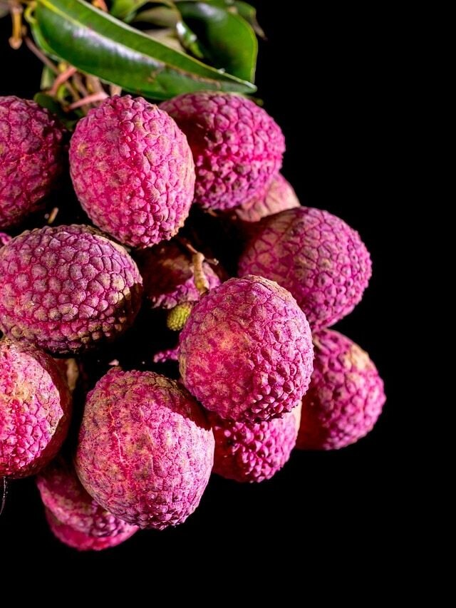 রসে টসটসে লিচুতে ভরেছে বাজার, দিনে কতটা খাওয়া নিরাপদ?