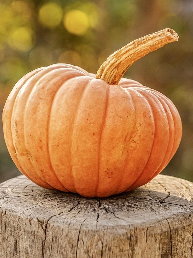 कद्दू खाने से कंट्रोल रह सकता है BP, हार्ट भी रहता है हेल्दी